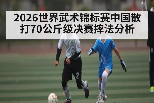 2026世界武术锦标赛中国散打70公斤级决赛摔法分析